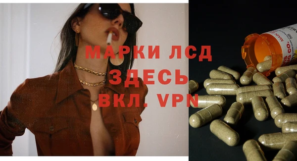 мяу мяу мука Надым