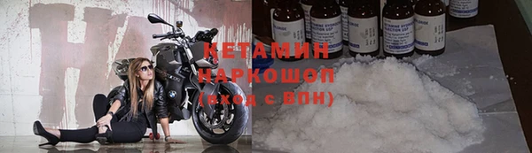 ПСИЛОЦИБИНОВЫЕ ГРИБЫ Михайлов