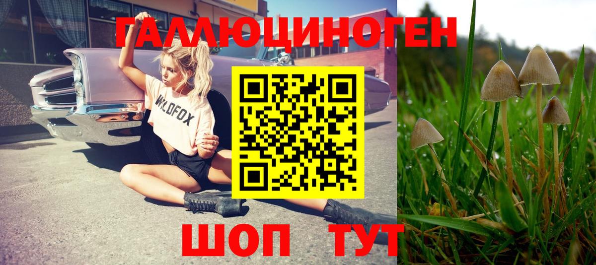 Соликамск  Псилоцибиновые грибы MAGIC MUSHROOMS  Псилоцибиновые грибы Psilocybine cubensis  Вход с VPN 